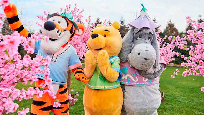 Meet Winnie the Pooh in the Hundred Acre Wood - Shanghai Disneyland