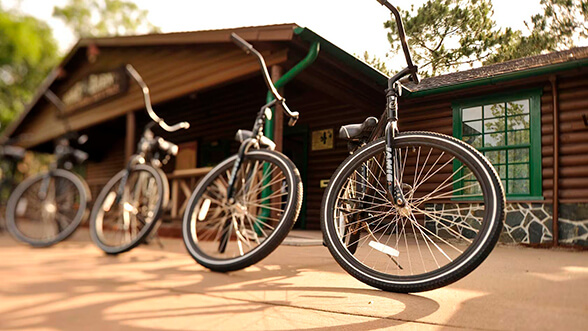 Alquiler Bicicletas en Disneys Saratoga Springs Resort & Spa