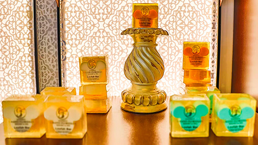 Gym y Spa Disney's Grand Floridian Resort