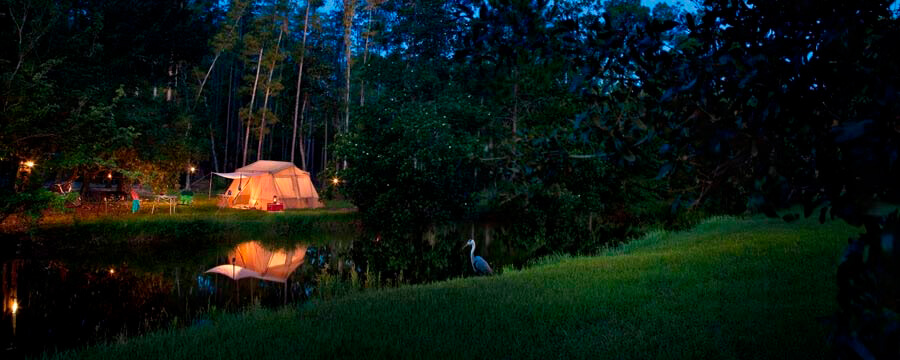 The Campsites at Disney's Fort Wilderness Resort