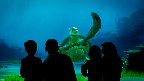 Turtle Talk With Crush - Epcot